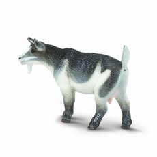 SAFARI SAFARI PYGMY NANNY GOAT