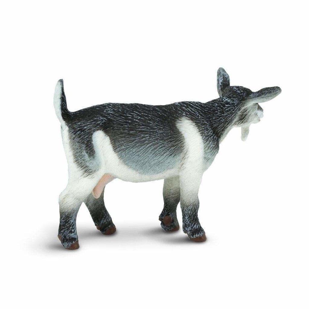 SAFARI SAFARI PYGMY NANNY GOAT
