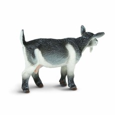 SAFARI SAFARI PYGMY NANNY GOAT