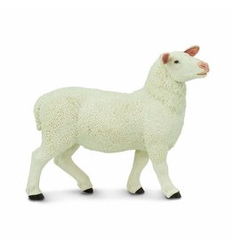 SAFARI SAFARI EWE