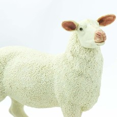 SAFARI SAFARI EWE