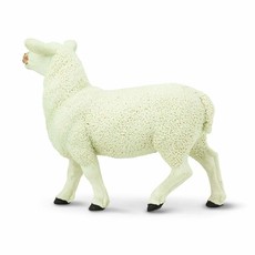 SAFARI SAFARI EWE