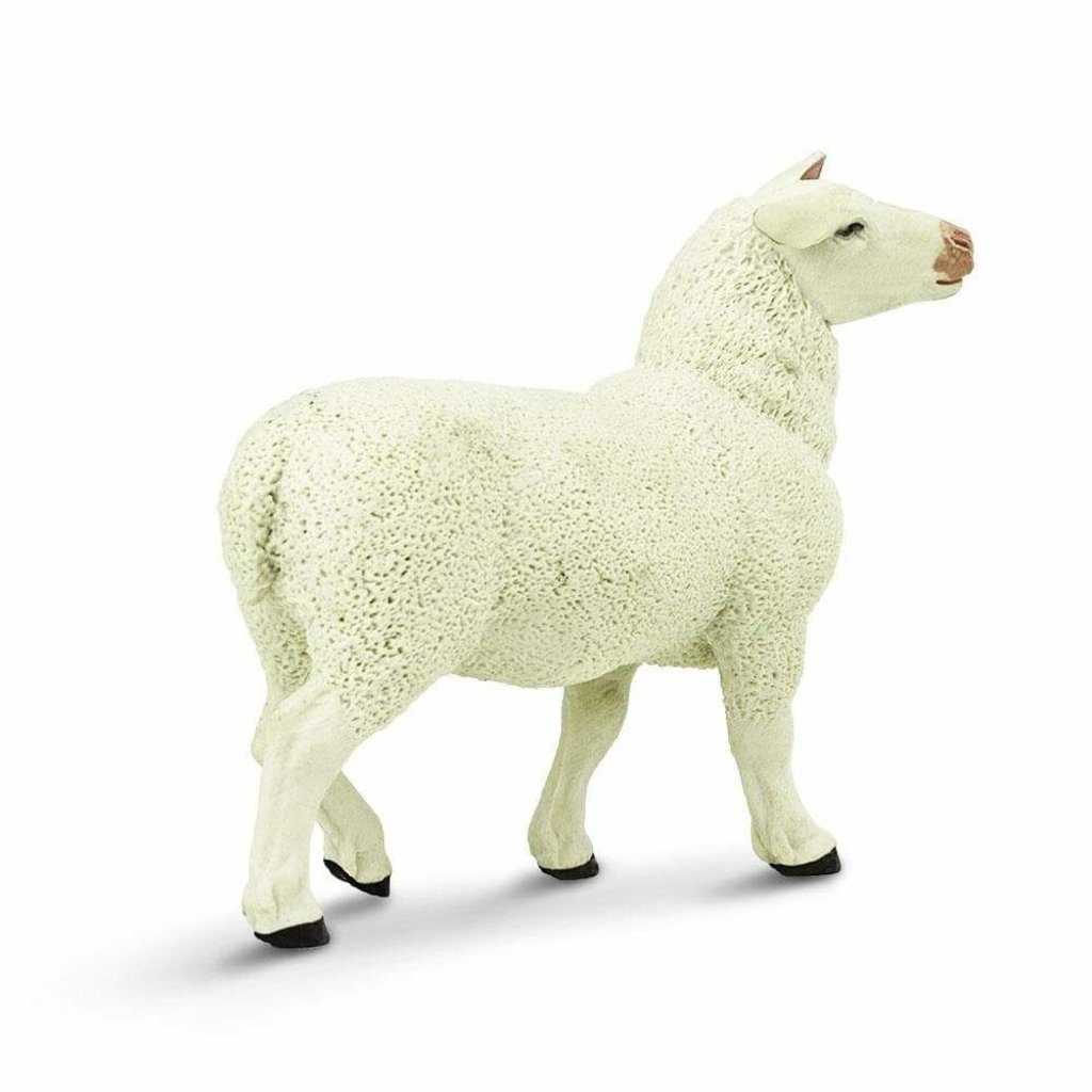 SAFARI SAFARI EWE