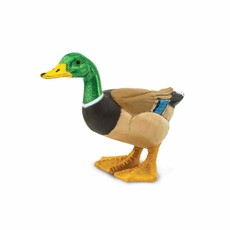 SAFARI SAFARI DUCK
