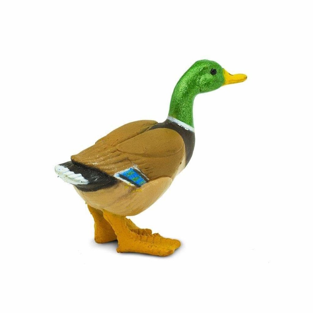 SAFARI DUCK SAFARI