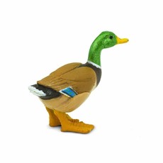SAFARI SAFARI DUCK
