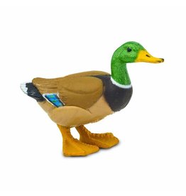 SAFARI SAFARI DUCK