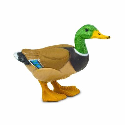 SAFARI SAFARI DUCK