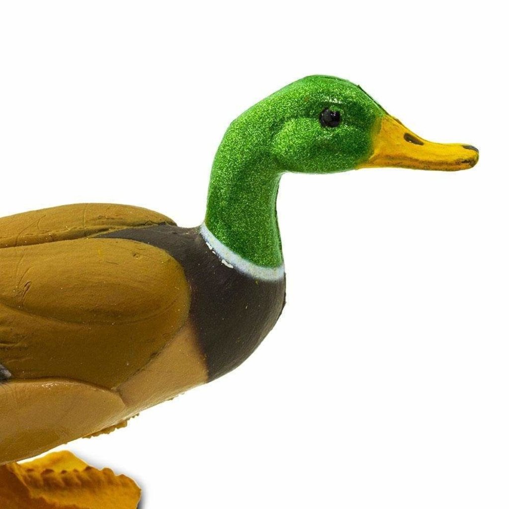 SAFARI SAFARI DUCK