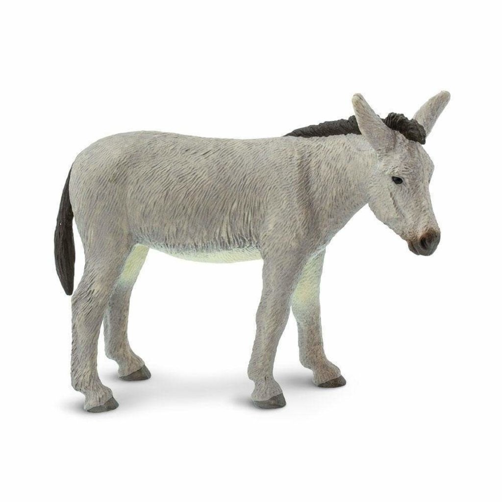 SAFARI SAFARI DONKEY