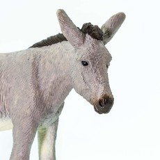 SAFARI SAFARI DONKEY