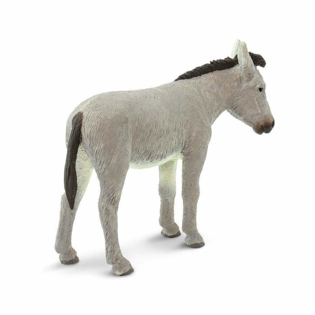 SAFARI SAFARI DONKEY
