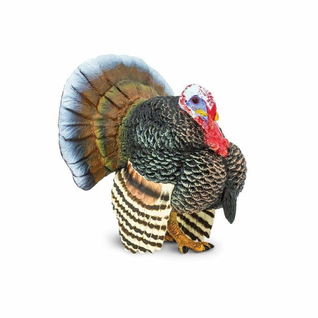SAFARI SAFARI TURKEY