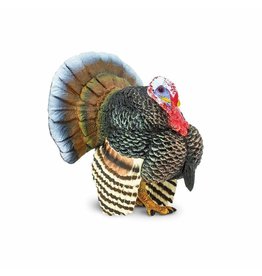 SAFARI SAFARI TURKEY