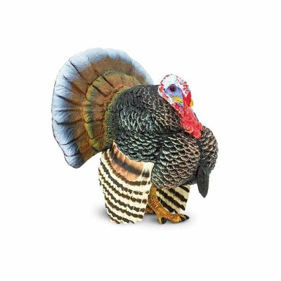 SAFARI SAFARI TURKEY