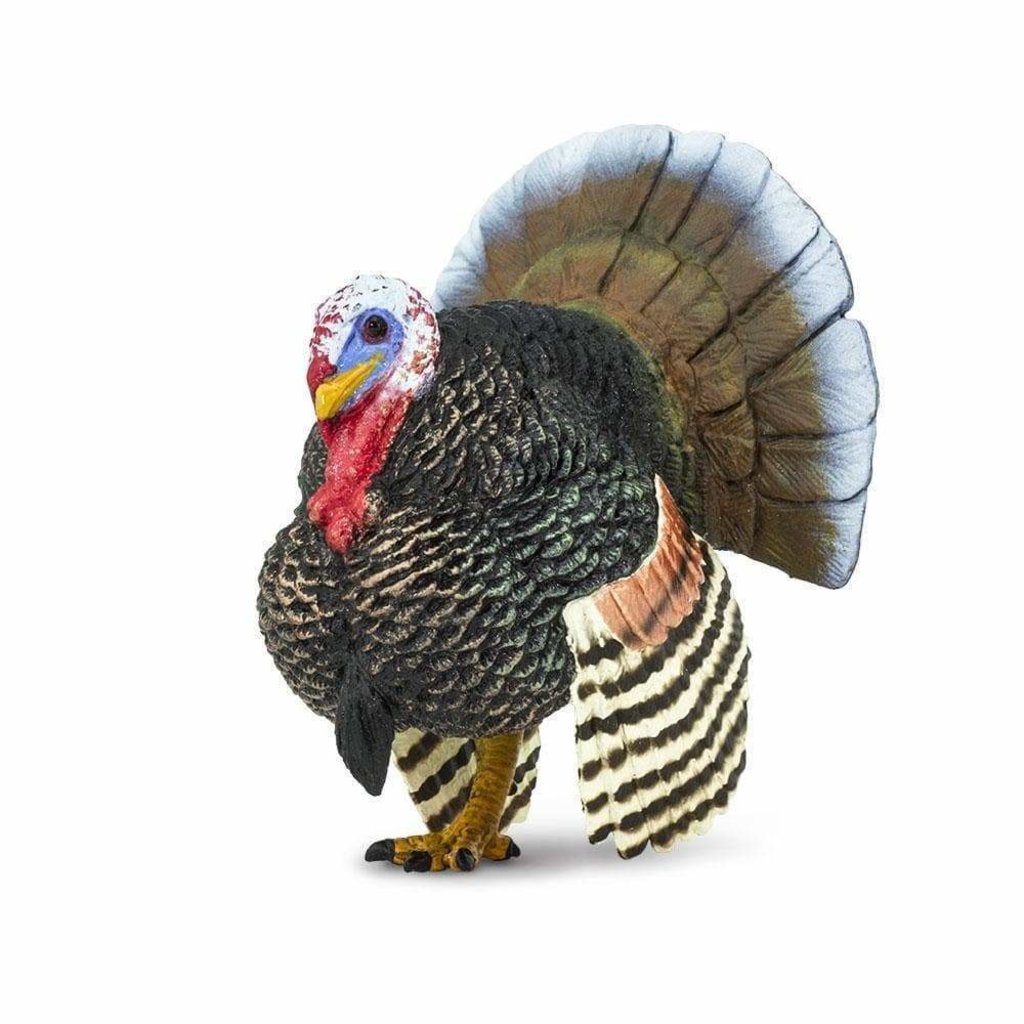 SAFARI SAFARI TURKEY