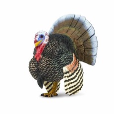SAFARI SAFARI TURKEY