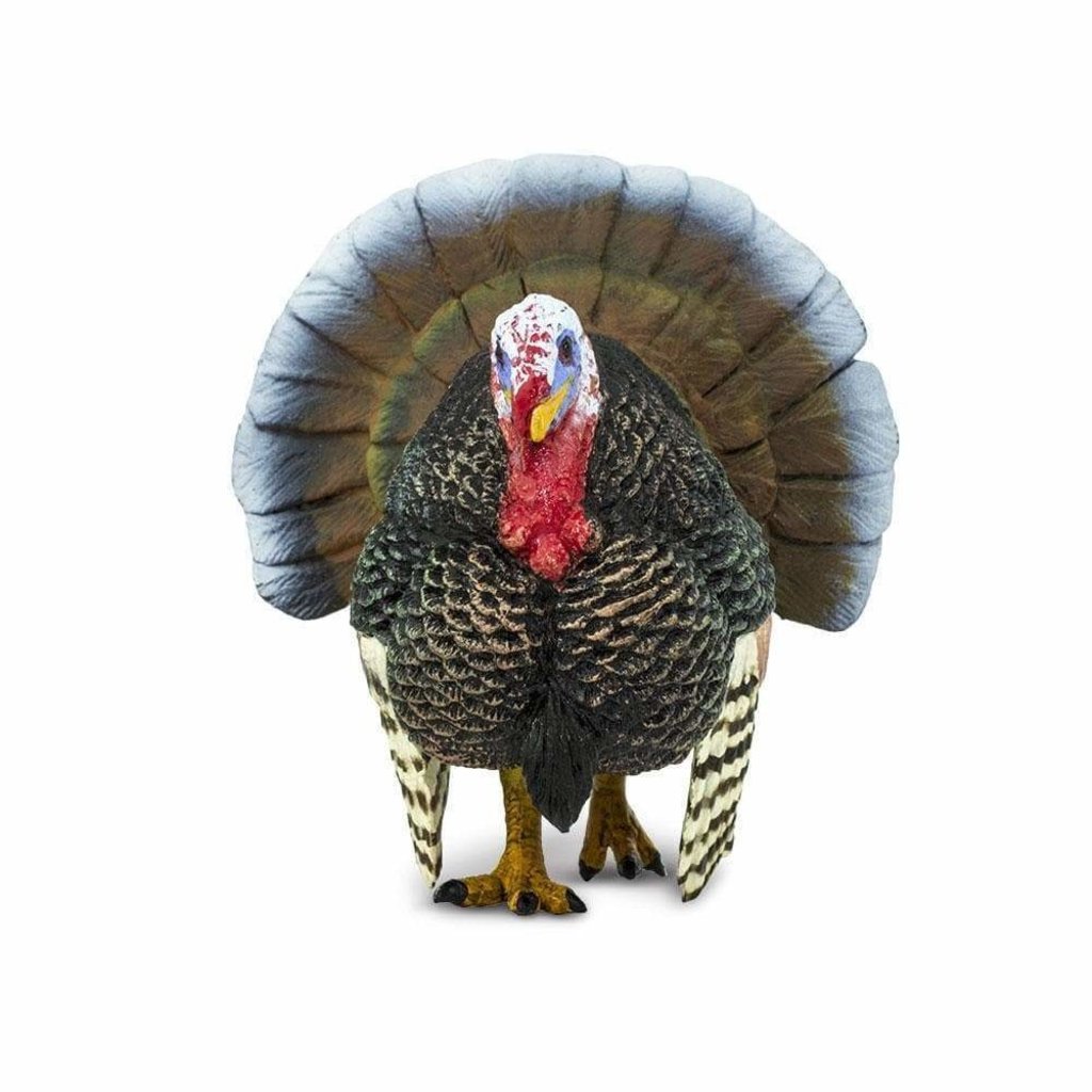 SAFARI SAFARI TURKEY