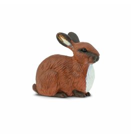 SAFARI SAFARI RABBIT