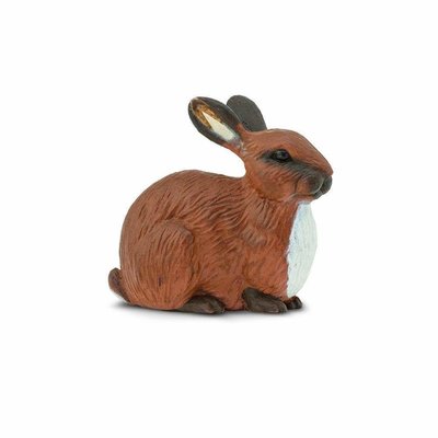 SAFARI SAFARI RABBIT