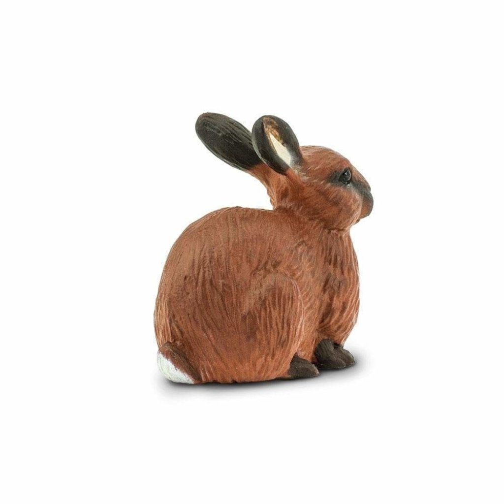 SAFARI SAFARI RABBIT