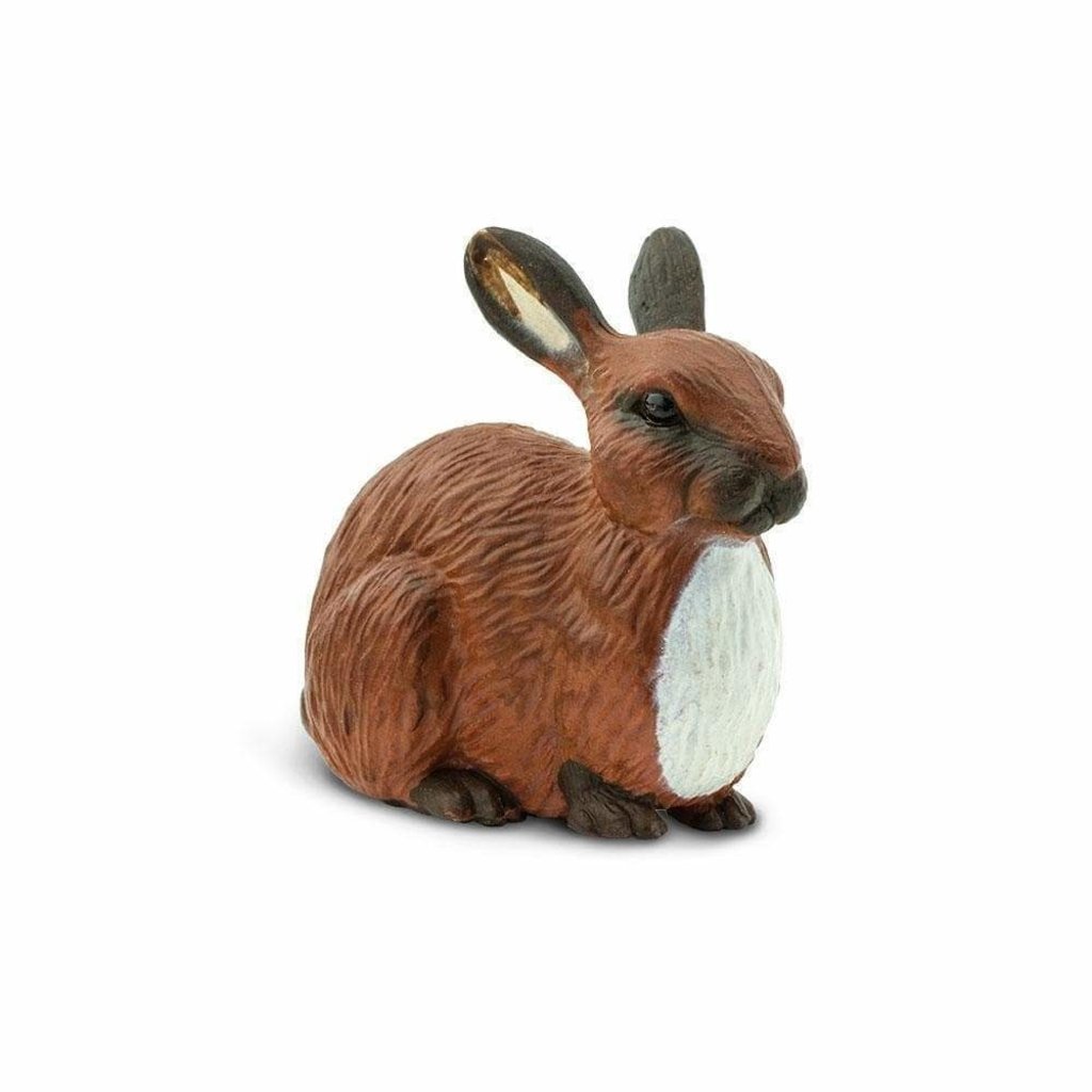 SAFARI SAFARI RABBIT