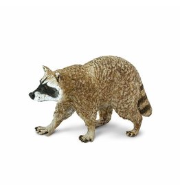 SAFARI SAFARI RACCOON