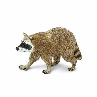 SAFARI SAFARI RACCOON