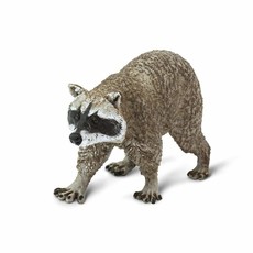 SAFARI SAFARI RACCOON
