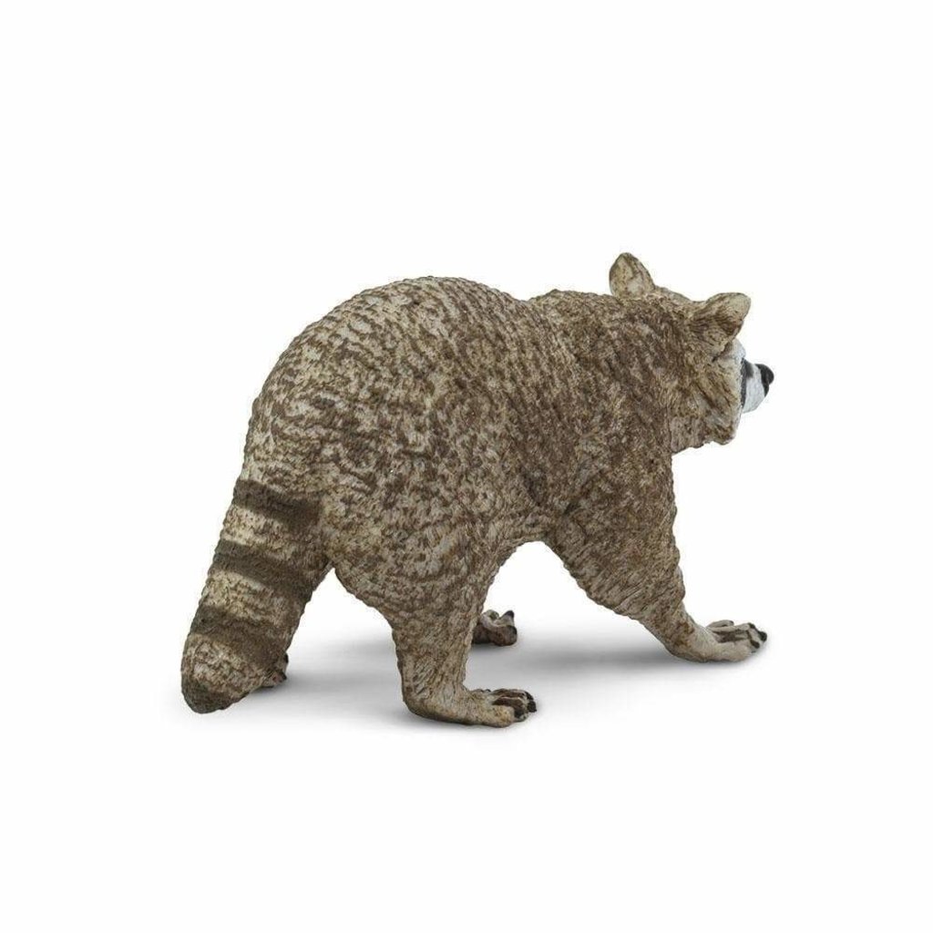 SAFARI SAFARI RACCOON