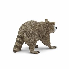 SAFARI SAFARI RACCOON