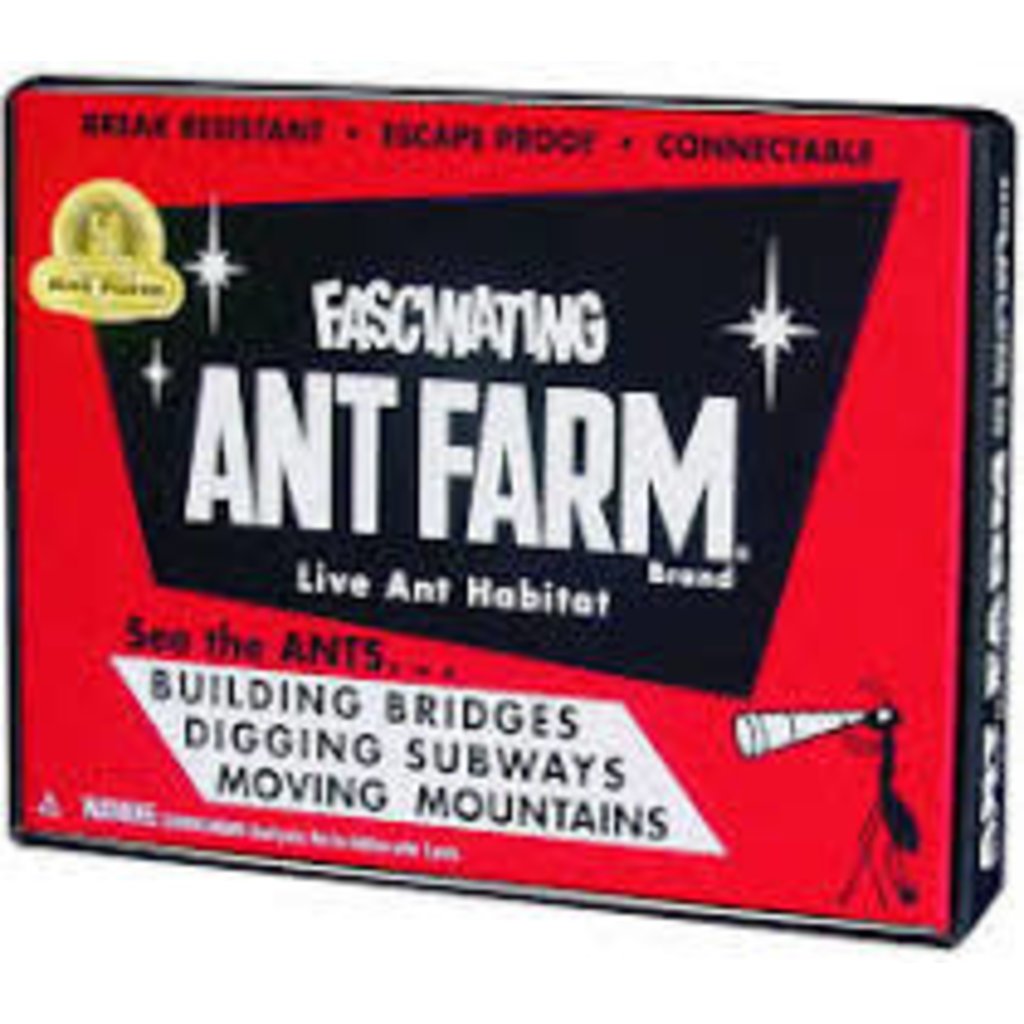 SCHYLLING ASSOCIATES ANT FARM