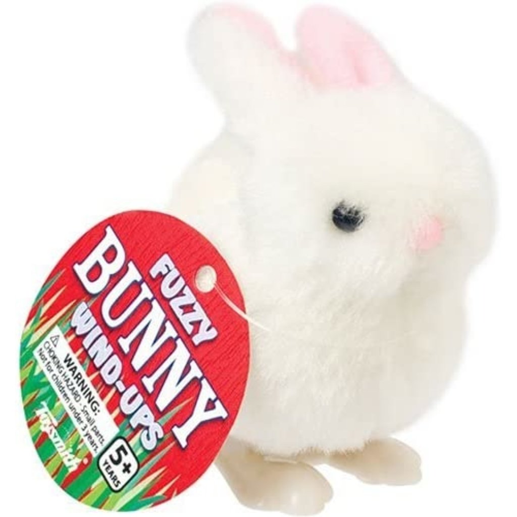 https://cdn.shoplightspeed.com/shops/605879/files/25924104/1024x1024x2/toysmith-fuzzy-bunny-wind-up.jpg