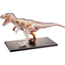 TEDCO 4D VISION T-REX ANATOMY