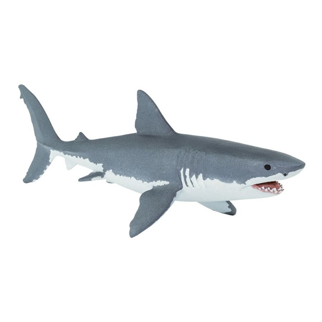 Sharks iconic collectibles