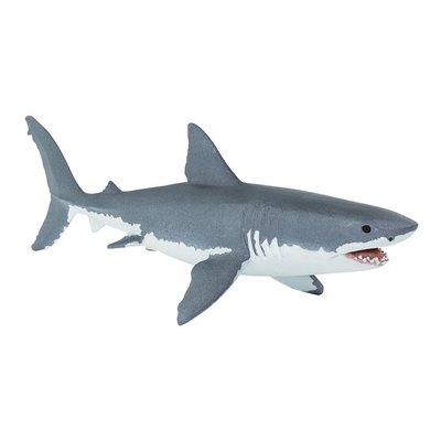 SAFARI SAFARI SHARKS