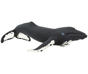 safari-whales-by-safari.jpg