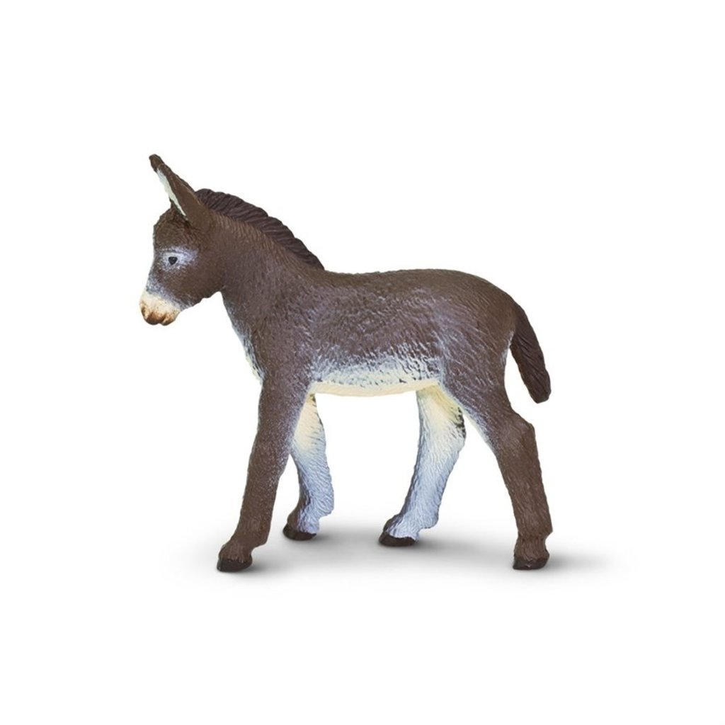 SAFARI SAFARI FOAL