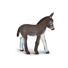 SAFARI SAFARI FOAL