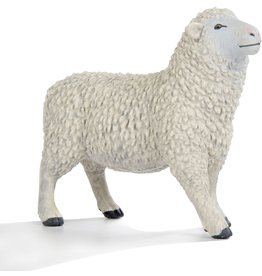 SAFARI SAFARI SHEEP