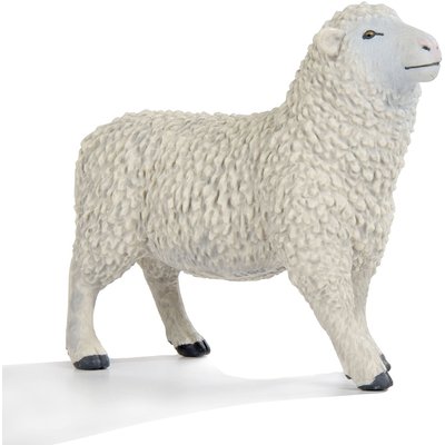 SAFARI SAFARI SHEEP