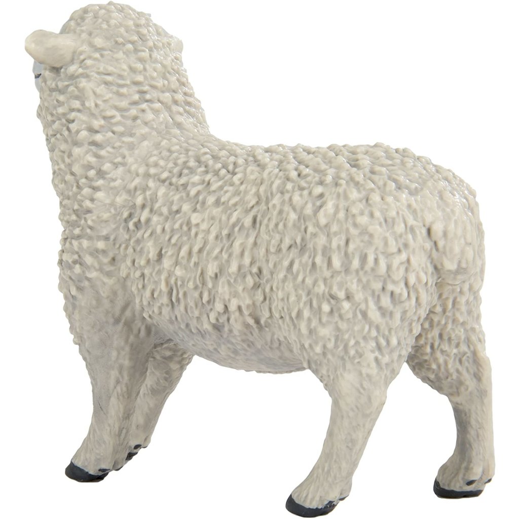 SAFARI SHEEP SAFARI
