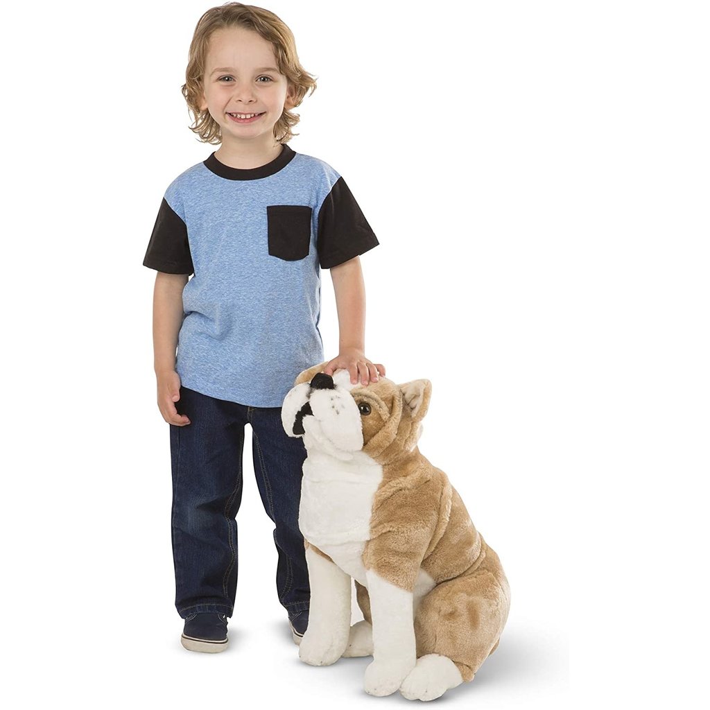 ENGLISH BULLDOG - THE TOY STORE