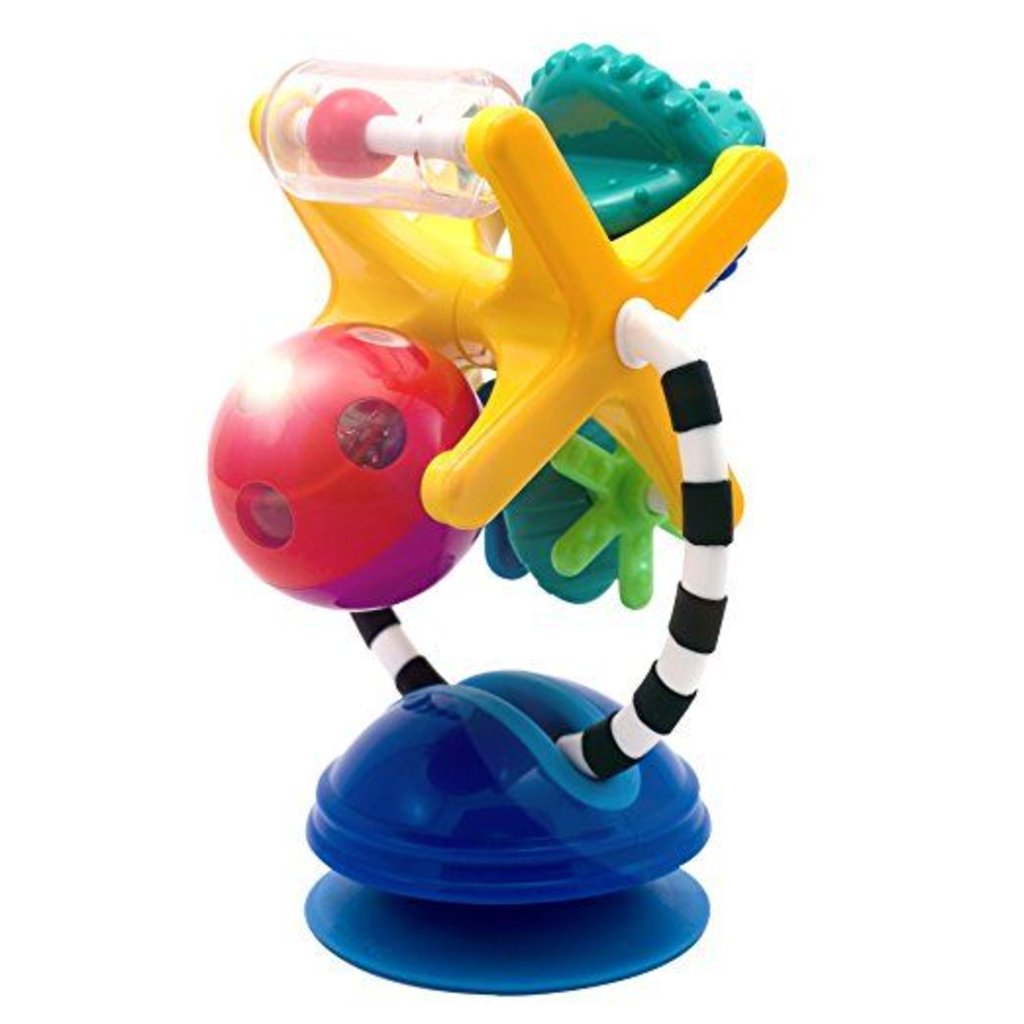 sassy developmental wonder wheel suction toy