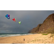 PRISM EO ATOM KITE