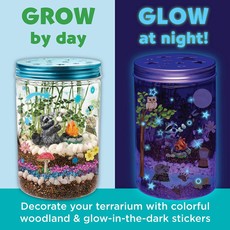 CREATIVITY FOR KIDS GROW N GLOW TERRARIUM