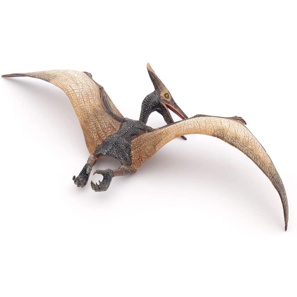 PAPO PAPO PTERANODON*