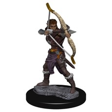 WIZKIDS DUNGEONS & DRAGONS: ICONS OF THE REALMS: PREMIUM FIGURES