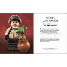 DK PUBLISHING LEGO HARRY POTTER MAGICAL GUIDE TO WIZARDING WORLD