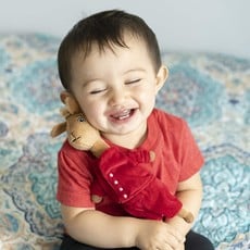 5 MINUTE MYSTERY LLAMA LLAMA BEANBAG